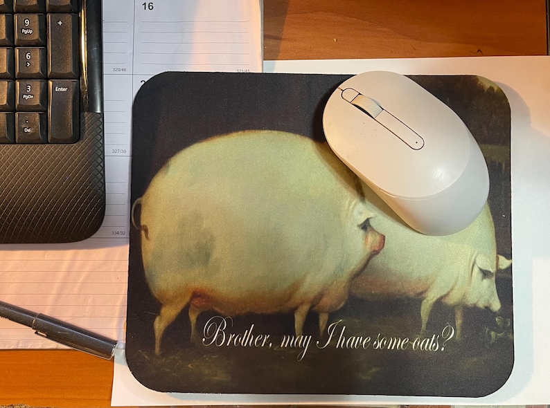 Fratello, vuole un po' di aven - Gaming Accessories To Have recensione e prezzo